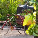 bali-2021-08-29-08-38-01-utc