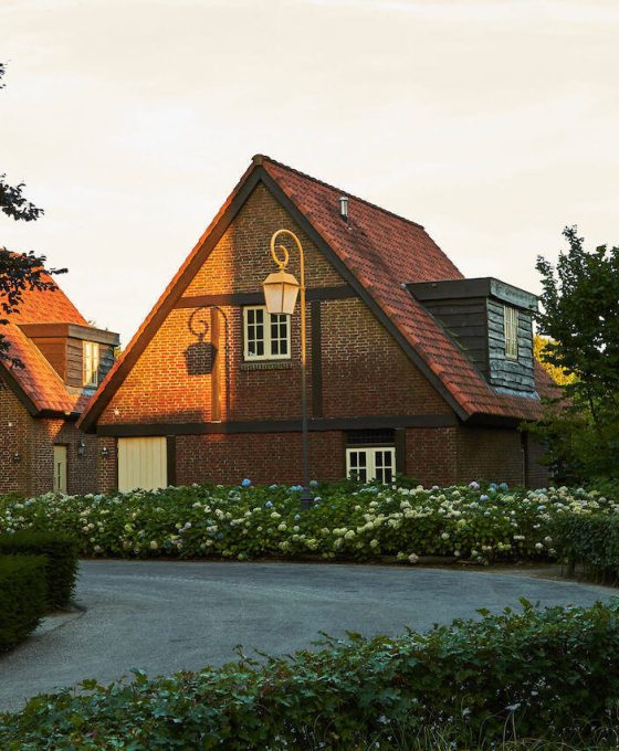 beautiful-scene-of-houses-surrounded-by-forests-at-2022-05-19-16-49-52-utc