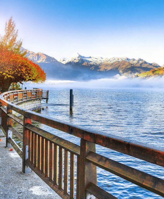 spectacular-autumn-view-of-lake-and-trees-in-city-2021-08-29-22-53-30-utc